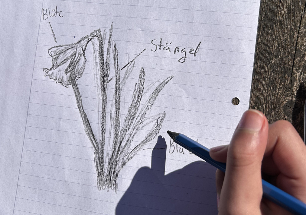Schülerin zeichnet Blume