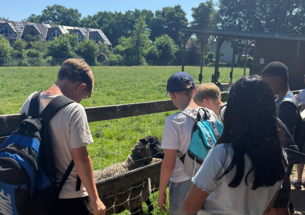 Schüler:innen füttern Schafe