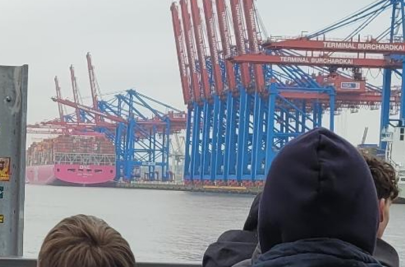 Schüler:innen betrachten die Kräne am Hamburger Hafen