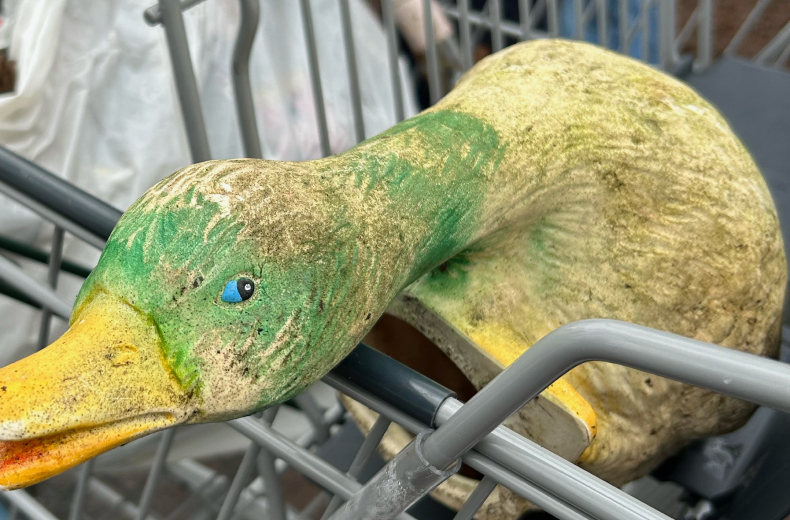 News-Teaser: Neuigkeiten der Woche